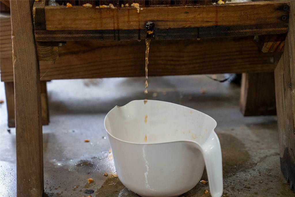 Apple Cider
